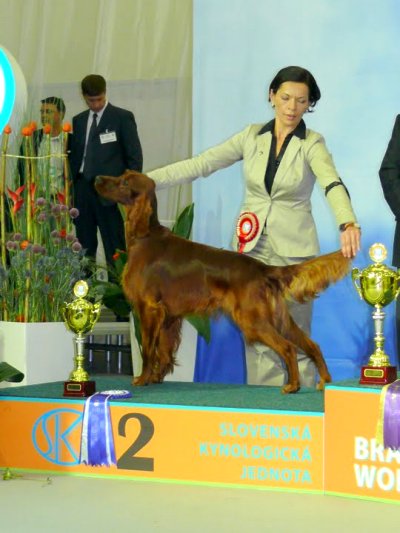 Fidelio von Wlfrath und Olga Gartner auf der World Dog Show 2009