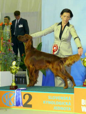 World Dog Show, Bratislava 11.10.2009